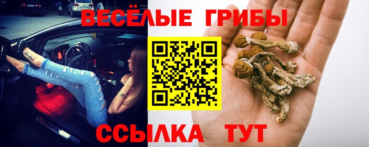 Псилоцибиновые грибы GOLDEN TEACHER Кизляр