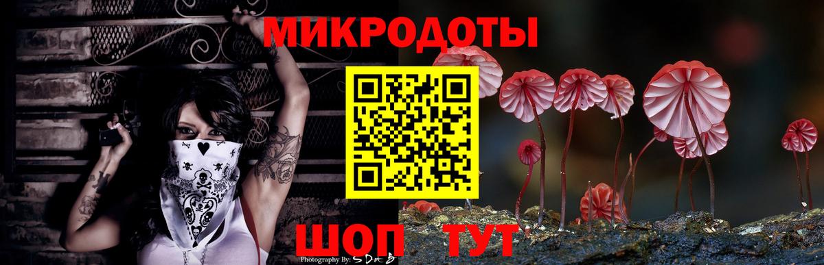 Кизляр  Псилоцибиновые грибы Psilocybe  Вход с VPN 